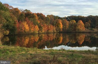 15694 Hillsboro Rd, Hillsboro, VA 20132 - photo 2