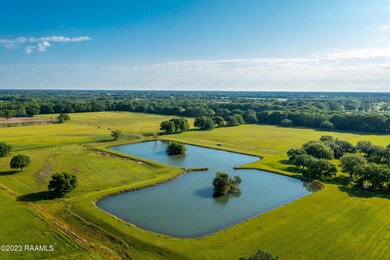 700 Blk Whitmore Rd, Scott, LA 70583 - photo 5