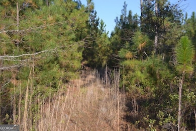 0 Sandpiper Ln unit TRACT 1, Swainsboro, GA 30401 - photo 3