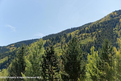 39 Roaring Fork Dr, Aspen, CO 81611 - photo 6