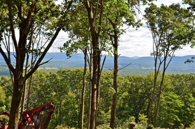 unlisted-address, Egremont, MA 12529 - photo 4