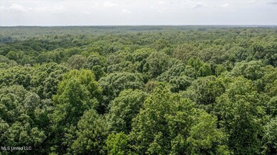 247 Sandy Branch Rd, Sarah, MS 38665 - photo 5