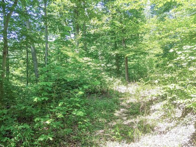 3-Moss Run Lot 11 Pic 7