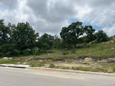 23403 Nina Ridge, San Antonio, TX 78255 - photo 7