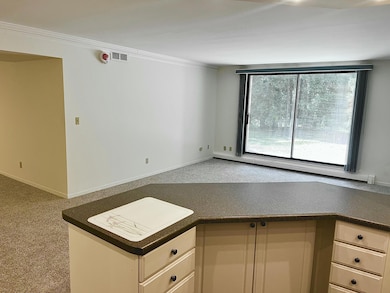 View to Sliding Door & Patio