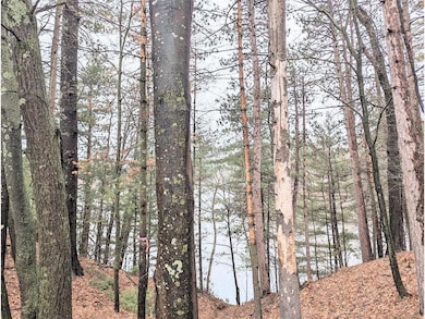 Lot 26 10th Ave, Chetek, WI 54728 - photo 6