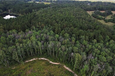 2085 County Road 3341, Brundidge, AL 36010 - photo 7