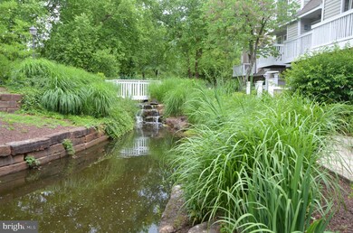 5700 Chapman Mill Dr unit 400, Rockville, MD 20852 - photo 4