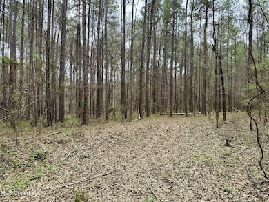 Robinson Rd Lot: 1, Canton, MS 39046 - photo 6