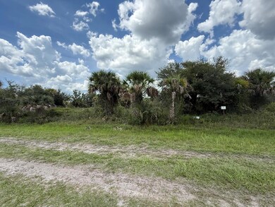 15993 NW 314th St, Okeechobee, FL 34972 - photo 4