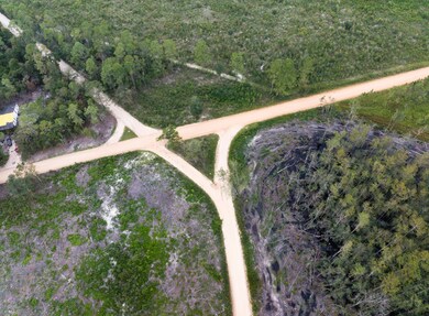 00 Sam Anderson Rd, Glennville, GA 30428 - photo 5