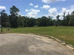 LOT 19 Wood Oaks Ct, Picayune, MS 39466 - photo 4