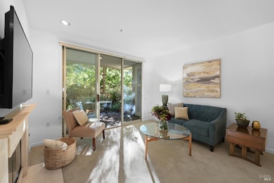 200 Deer Valley Rd unit 1C, San Rafael, CA 94903 - photo 3