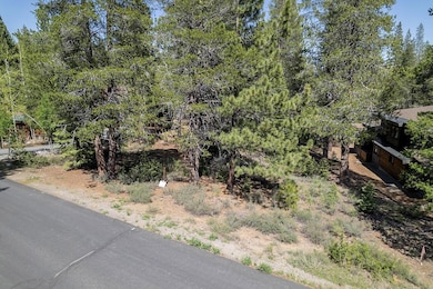 11841 Bottcher Loop, Truckee, CA 96161 - photo 7