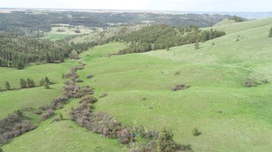 XXX Egypt Loop Rd unit Sunset Mountain Ridg, Davenport, WA 99122 - photo 4