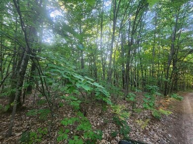 V/L Whitmire Rd, Cedar Creek Township, MI 49457 - photo 7