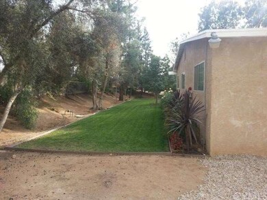 Yard near the street.