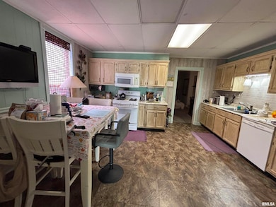 203 E 4th St, Brookport, IL 62910 - photo 5