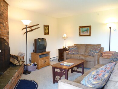 31 Farm Rd unit B1, Peru, VT 05152 - photo 6