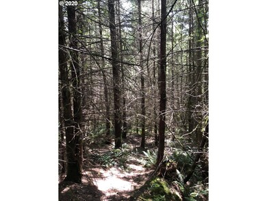 0 Gowan Rd unit 20115638, Rainier, OR 97048 - photo 7