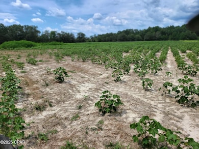 000 Joiner Rd, Chipley, FL 32428 - photo 3