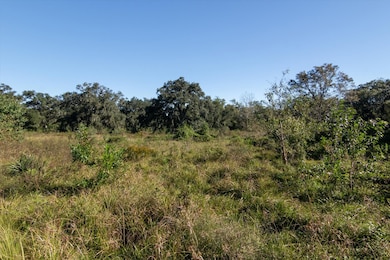 0000 Cr-611, Angleton, TX 77515 - photo 3