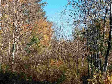 1632 Sterling Valley Rd, Morrisville, VT 05661 - photo 2