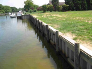 Bulkhead view
