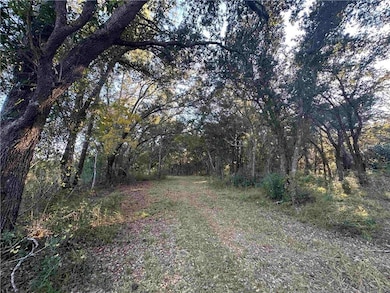 0 Benton Rd, Foley, AL 36535 - photo 3