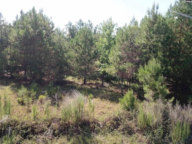 5051 Spring Hill Rd, Rembert, SC 29128 - photo 7