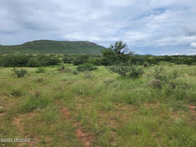 10632 N Double U Ranch Rd, Tombstone, AZ 85638 - photo 6