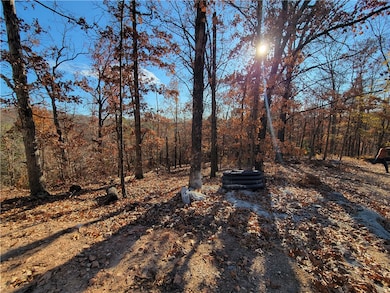 Lot 49 Shefford Ln, Bella Vista, AR 72714 - photo 3