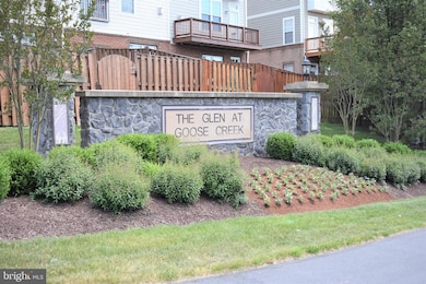 20925 Houseman Terrace, Ashburn, VA 20148 - photo 5