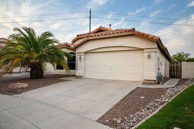 Yucca Pl-6