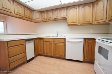 Oak cabinets and counters in great shape