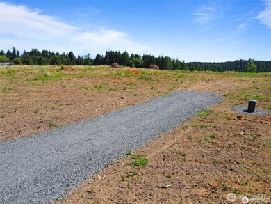 597 Brown, Adna, WA 98522 - photo 4