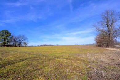0 Montgomery Rd, Unincorporated, TN 38015 - photo 4