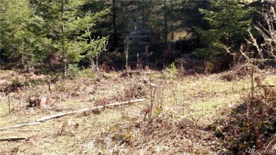 18610 232nd Ave E, Orting, WA 98360 - photo 3