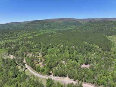 4 Tbd Big Cedar Oklahoma, Big Cedar, OK 74939 - photo 2