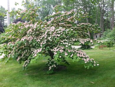 23 Hershey Ln, Wells, ME 04090 - photo 6