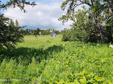 44931 Fox View Dr, Homer, AK 99603 - photo 6