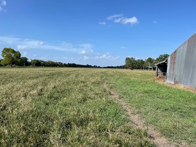 6931 Kamas Ln, Needville, TX 77461 - photo 3