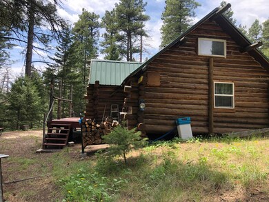 13 Pine Coulee Ln, Cascade, MT 59421 - photo 5