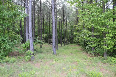 110 Compass Dr, Jasper, TN 37347 - photo 3