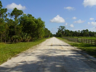 Cabbage Palm Way