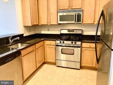 Halstead at The Metro unit 244, Fairfax, VA 22031 - photo 7