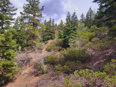 Of the Area1