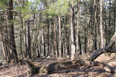 21 Deer Path, East Stroudsburg, PA 18302 - photo 6