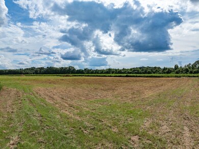 Parcel A J Runnels Rd, Petal, MS 39465 - photo 7