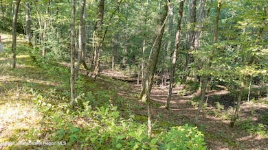 161 Roundtop Rd, Germantown, NY 12526 - photo 6